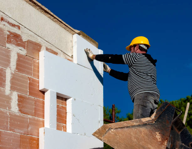 Best Insulation Contractor Near Me  in Willacoochee, GA