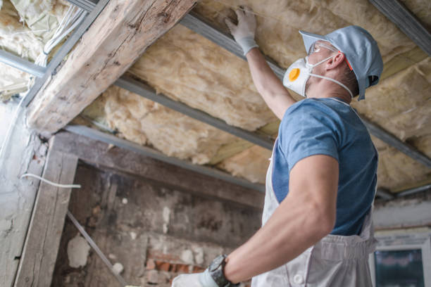 Best Insulation Repair Services  in Willacoochee, GA