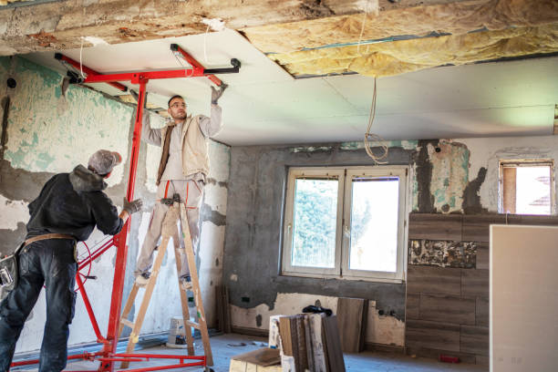 Best Wall Insulation Contractor  in Willacoochee, GA