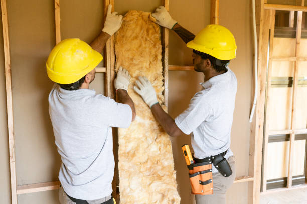 Best Spray Foam Insulation  in Willacoochee, GA
